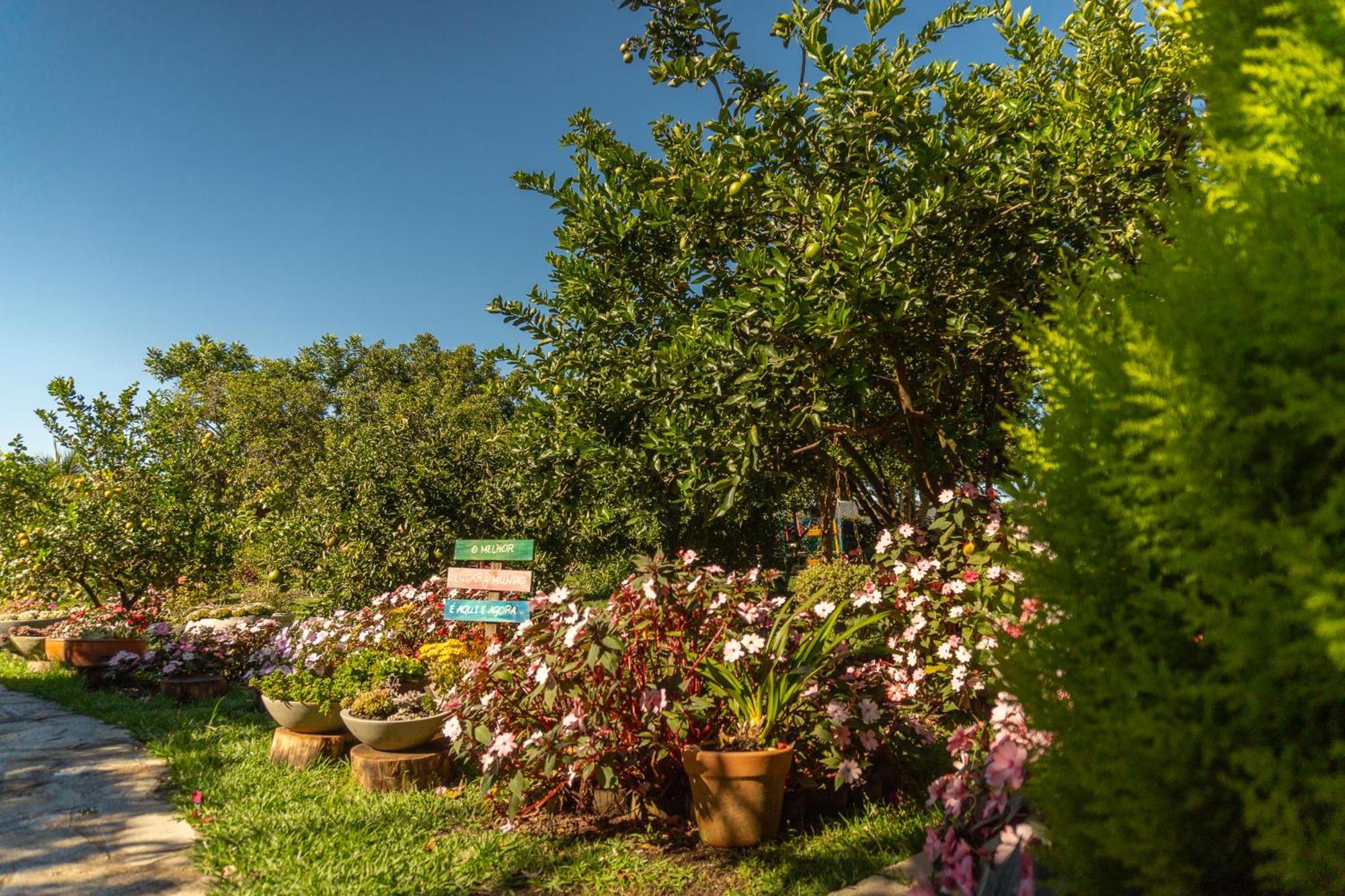 Vila Da Mata Chales Alto Paraíso de Goiás Buitenkant foto